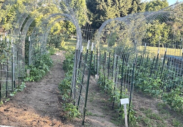 Sunnyside Community Garden.