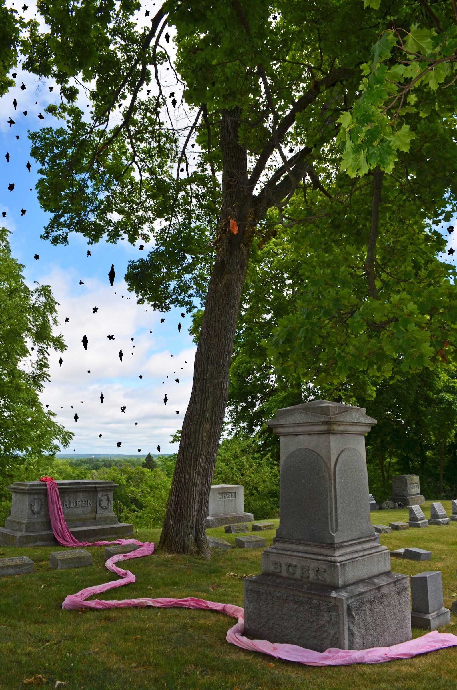 Photographs taken at Mountain Home Cemetery in Kalamazoo, using a long swath of donated white cloth dyed red and pink to connect the graves as a way of reflecting many faiths' belief that we are all truly interconnected and equal in death.
