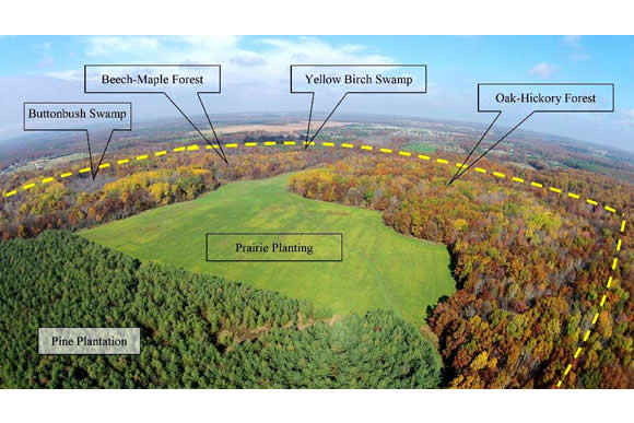 Health Road Tract