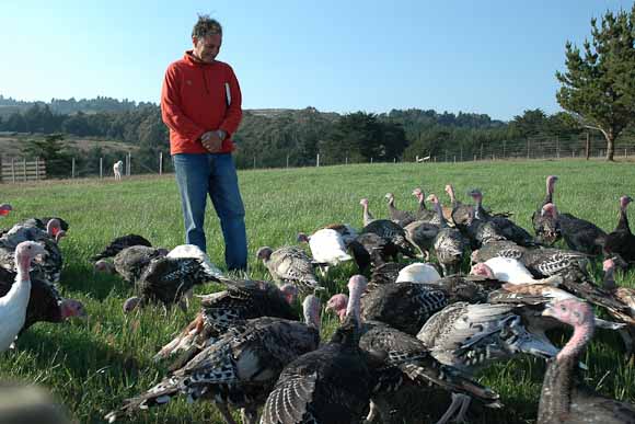Bill with the turkeys