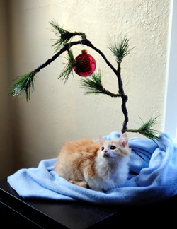 Happy Holidays from all of us at Second Wave and Issue Media Group / Photo by Erik Holladay