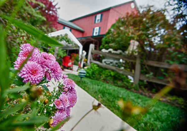 Colorful flowers adorn every inch of the ground of Southern Exposure. 