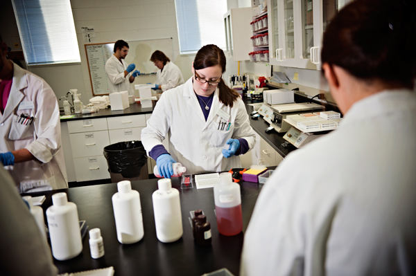 Sarah Lankford, a Lab Technician at Forensic Fluids,  prepares a batch of samples for testing. 