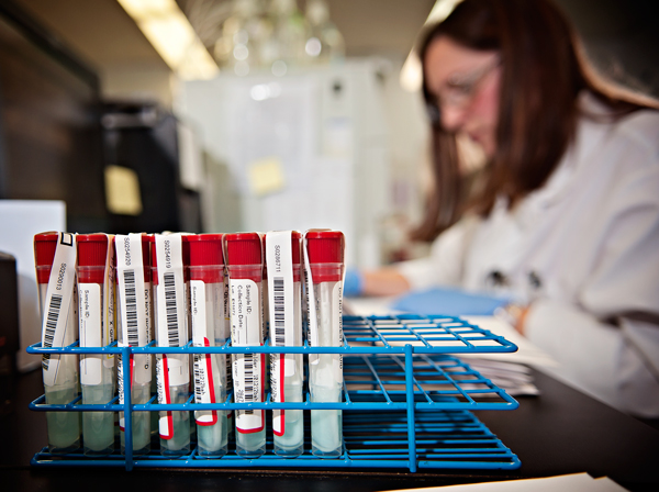 Test tubes ready for testing at Forensic Fluids.