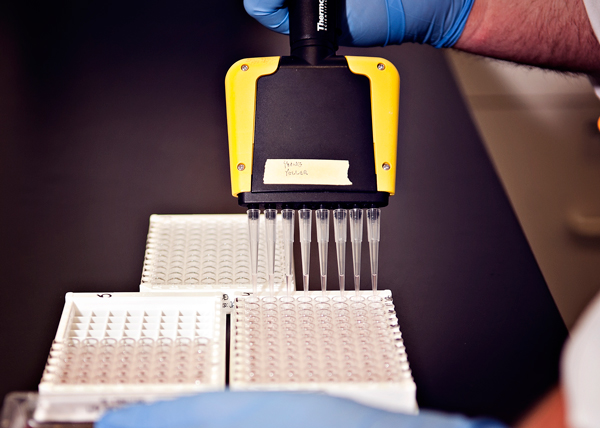 Samples being prepared for testing at Forensic Fluids in Kalamazoo, Michigan. 