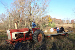 Harvest Joy thumbnail