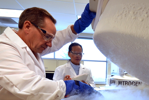 Greg Cavey working in the core lab at Southwest Michigan Innovation Center.