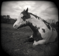 Kristin DeKam Holga image, The Sangre de Cristo (Blood of Christ) mountains flank the southern edge of the Rockies, and given the right light and season, they become rich in color.