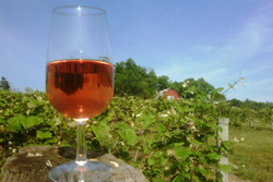 Wine Thumbnail