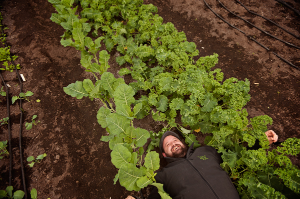 Jeremy Andrews, CEO of Sprout Urban Farms 