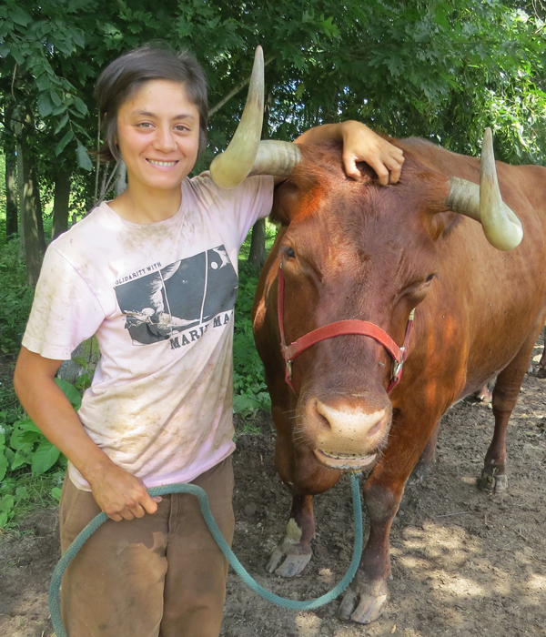 Gina Wertz and her ox Herschel.