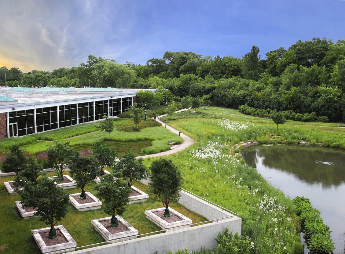 This naturalized detention is an example of green stormwater infrastructure at corporate headquarters of Johnson Controls, Inc. in Glendale, Wisconsin