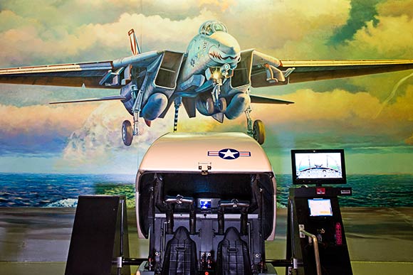 Air Zoo Simulators 