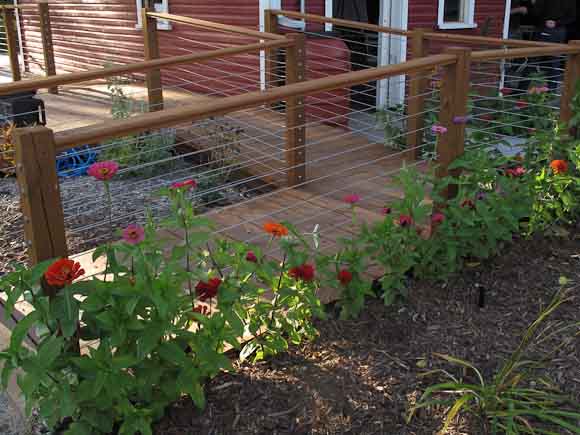 Flowers by the barn