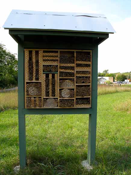 Bee Condo