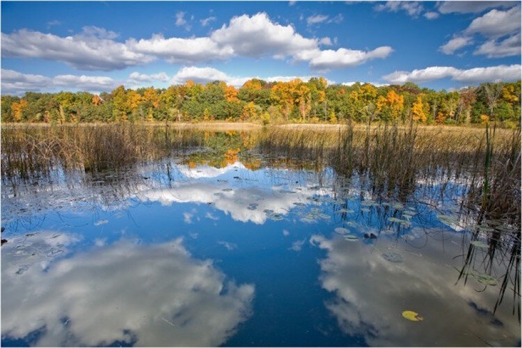 Asylum Lake in autumn.