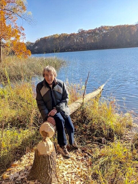 Lauri Holmes, co-chair of the Asylum Lake Preservation Association, checks out beaver activity along the lakeshore.