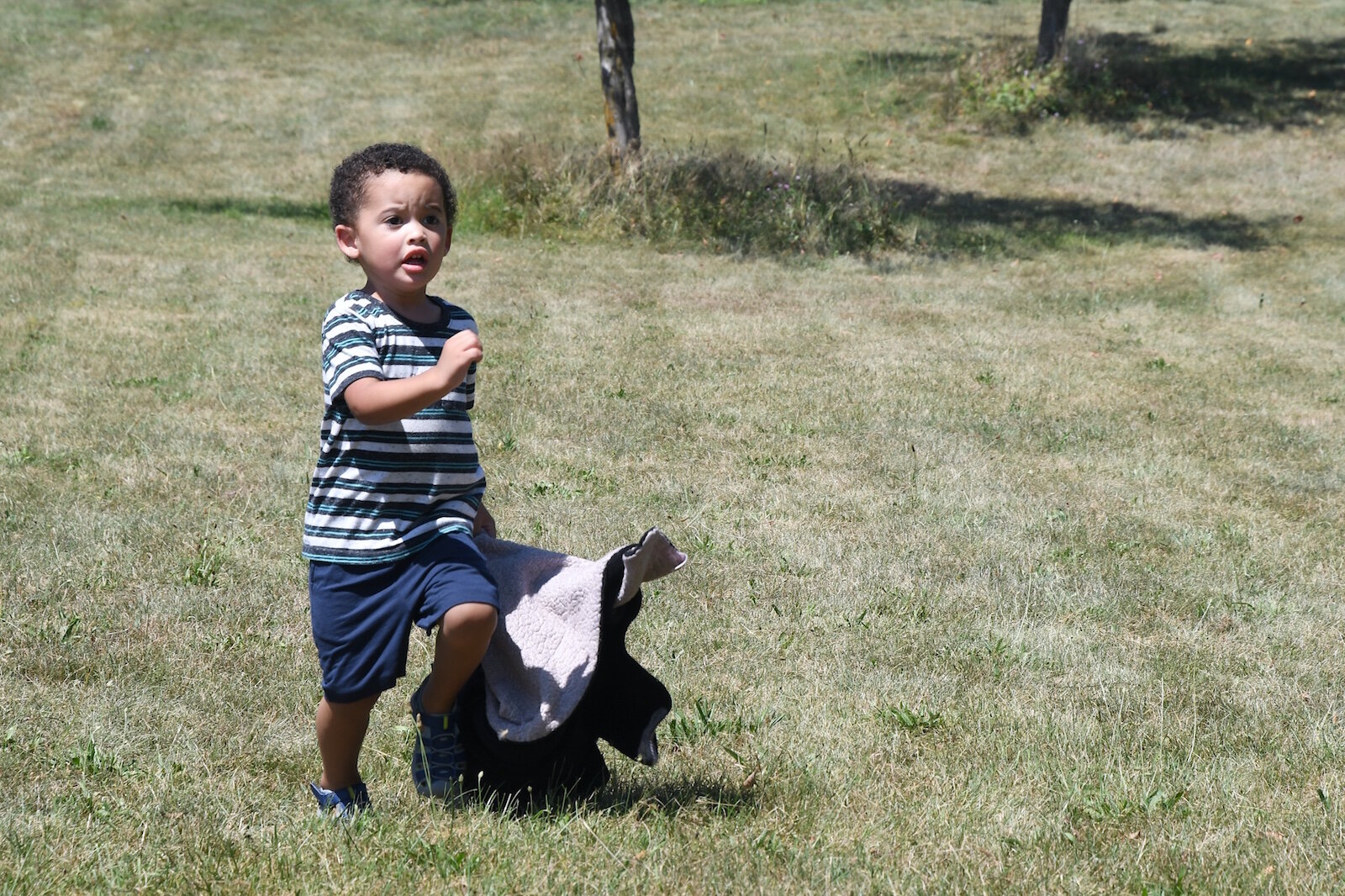 Greyson Hampton, 3, runs down a hill at Leila Arboretum.