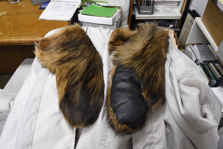 Fur and leather gloves of unknown origin at the Historical Society of Battle Creek