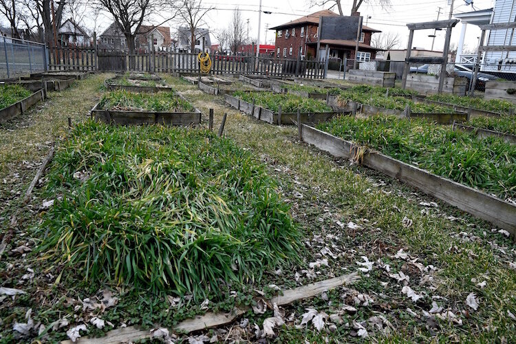 The Creekside Community Garden is located on Wabash, just south of Capital Avenue Northeast on Battle Creek’s northside.