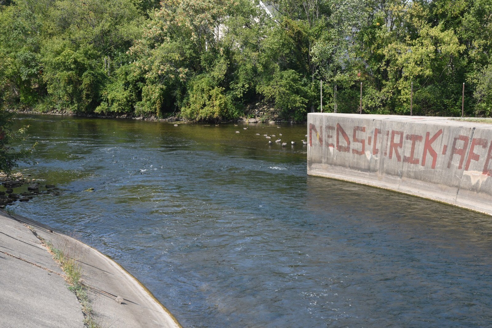 Looking west along the Kalamazoo River toward the confluence with the Battle Creek River