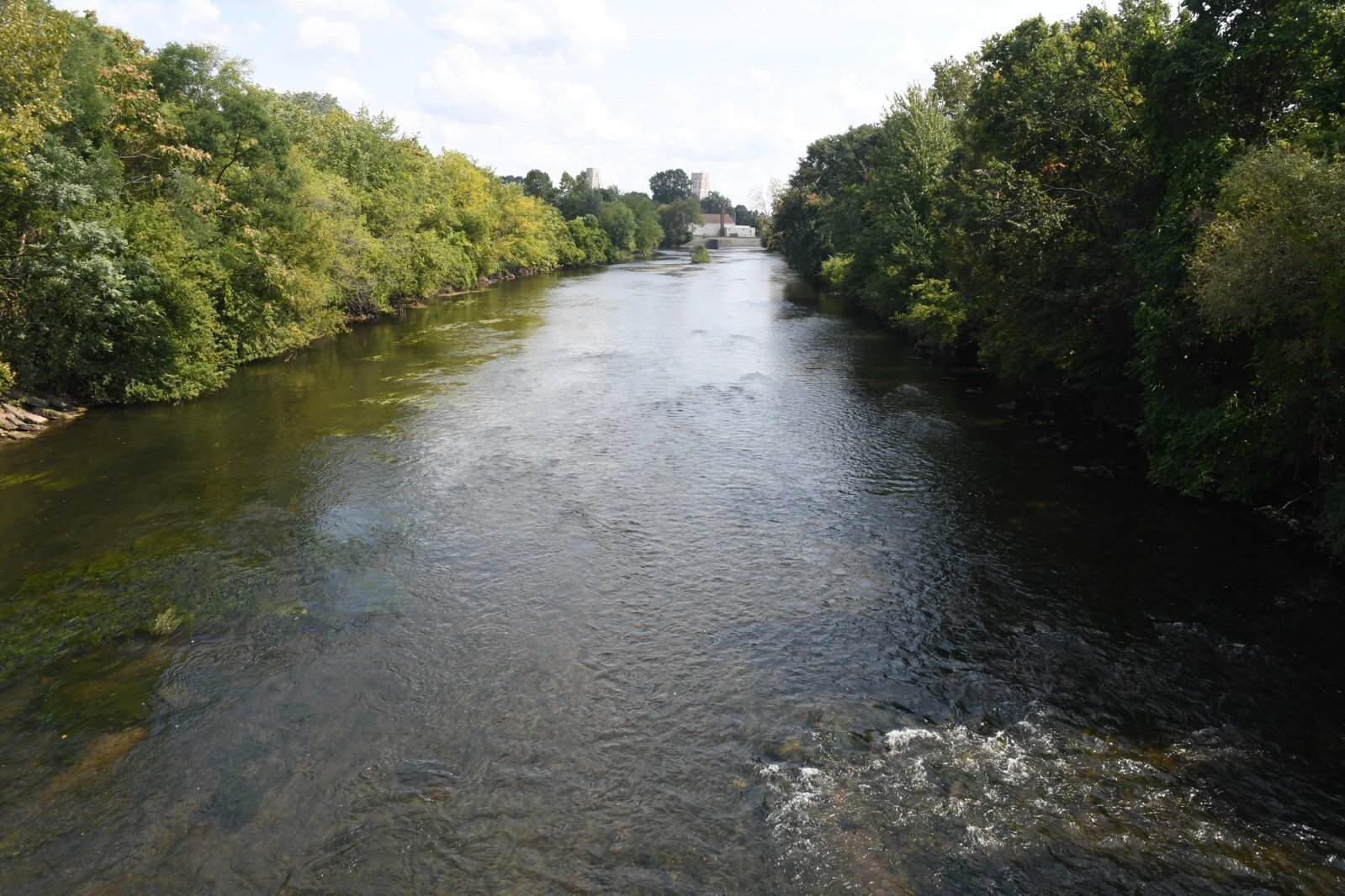 Looking east along the Kalamazoo River from Kendall Street.