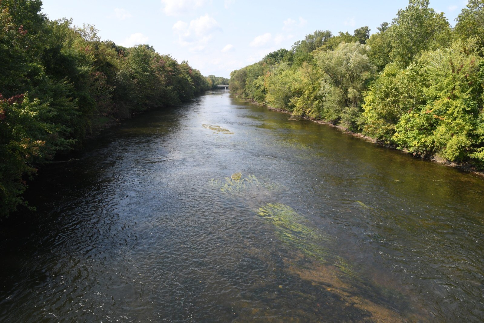Looking west along the Kalamazoo River from Kendall Street.