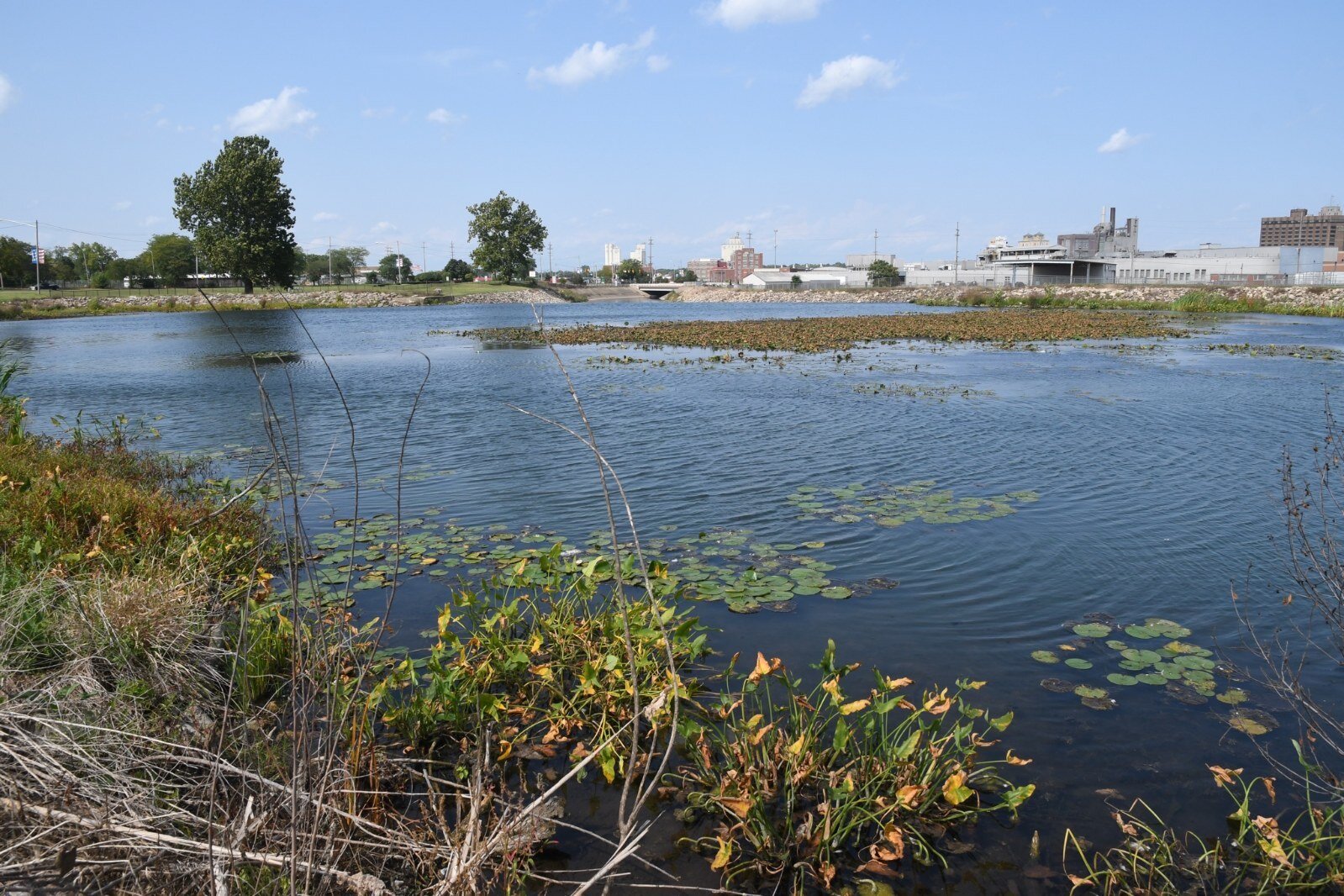 Another view of the Kalamazoo River just above the dam just north of Dickman Road.