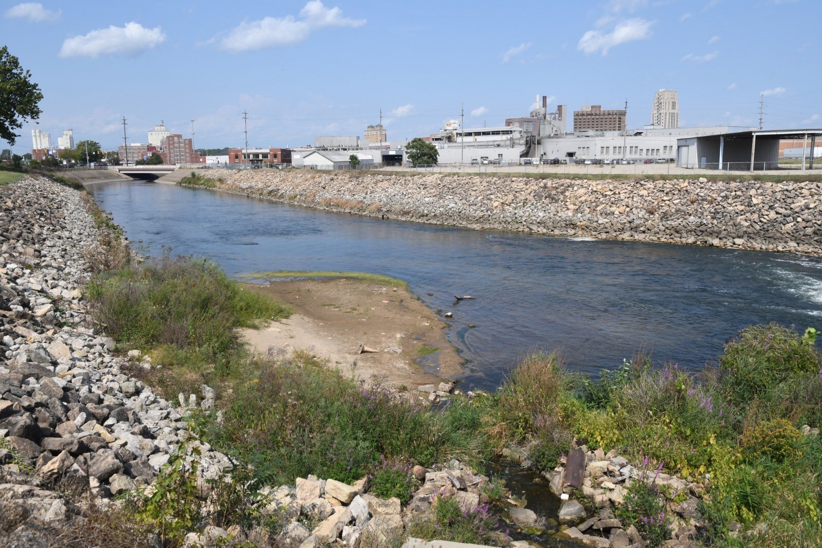 View of the Kalamazoo River below the dam just north of Dickman Road.