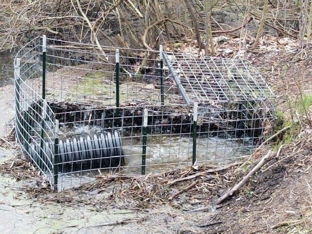 The Beaver Deceiver convinces the beavers that they do not need to build another lodge in this location.