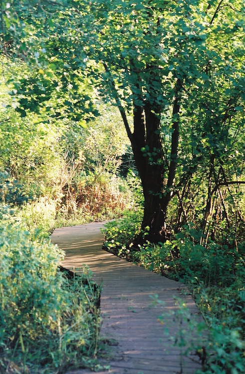  Since the Southwest Michigan Land Conservancy took over stewardship of Bow in the Clouds, the boardwalk and additional trails have been built that provide greater accessibility.