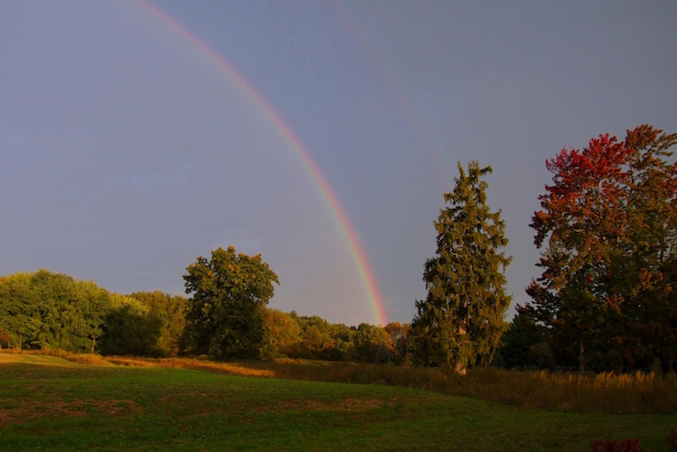 When Sr. Ginny Jones and the Sisters of St. Joseph transferred ownership to the Southwest Michigan Land Conservancy, a rainbow appeared over the preserve.