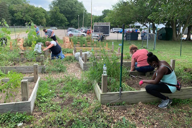 Gardening with the Boys and Girls Clubs.