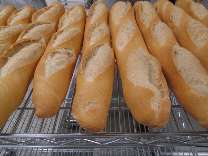 Bread from Sarkozy's Bakery