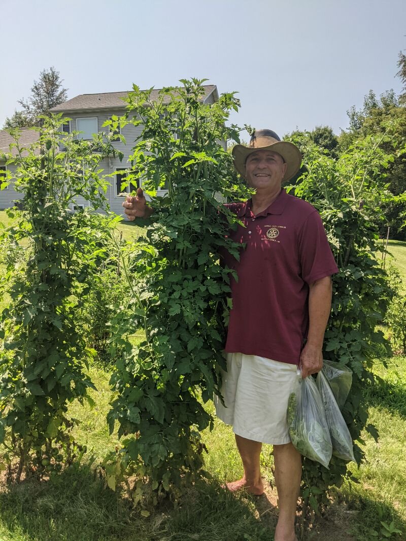 Carlos Fontana puts his arm around one of many tomato plants throughout his farm garden that produce large cherry tomatoes.  