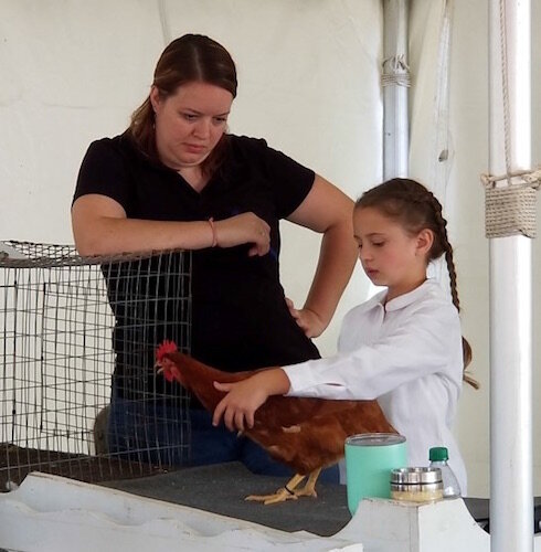 A young person shows off her chicken at the 4-H Fair last year. 