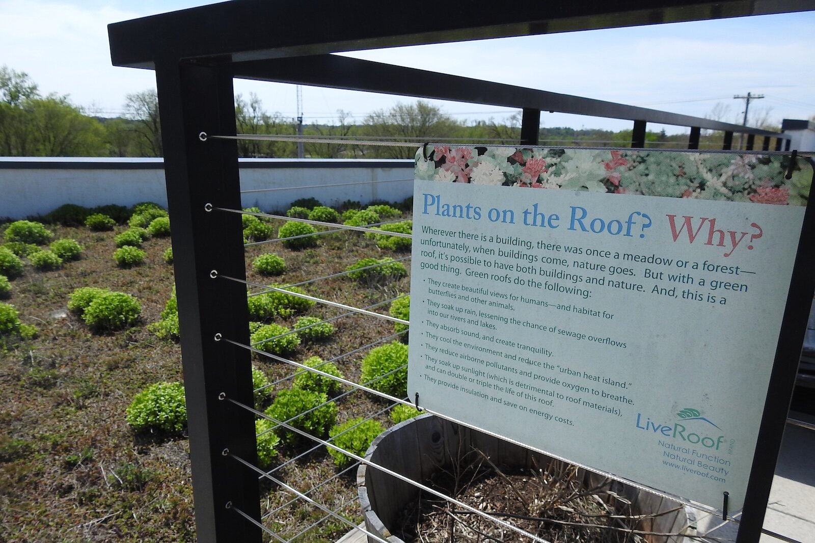 A green-roof portion of the roof of The Creamery Apartments in Kalamazoo redirects rainwater and promotes a more climate change-resilient environment, says Matt Hollander, president of Hollander Development Corp. and the developer behind The Creamery