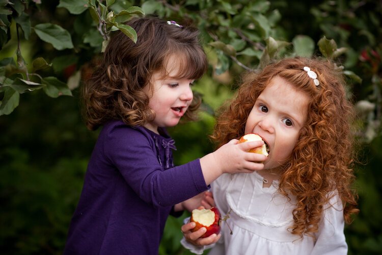 Apple lovers of all ages are invited to crunch into an apple on Oct. 8.