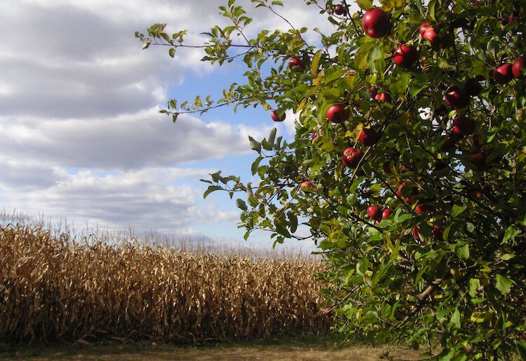 Counting apple biters across the Great Lakes Apple Crunch states organizers hope to get to 2 million crunchers across the re