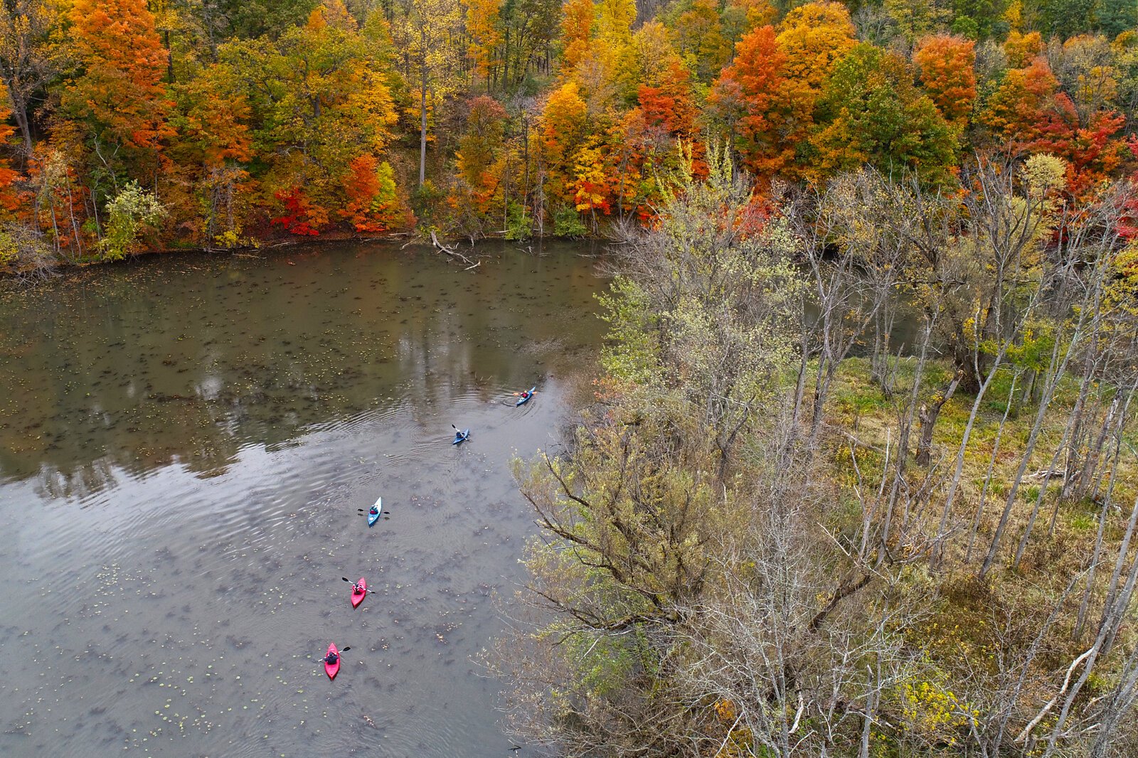 Fall colors highlight a stretch of the Kalamazoo River in the Armintrout-Milbocker Nature Preserve.