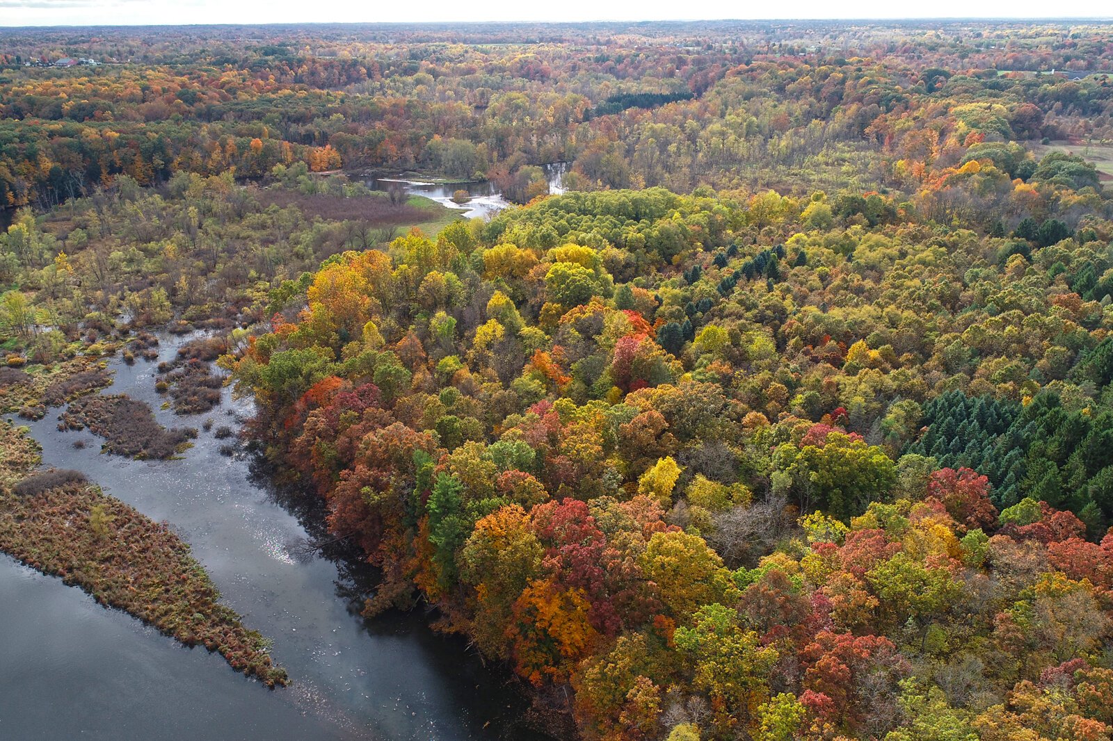 Fall colors complement three miles of Kalamazoo River frontage and 100 upland acres of mostly pine and oak forest, fringed with 40 acres of diverse wetland at the new Armintrout-Milbocker Nature Preserve.