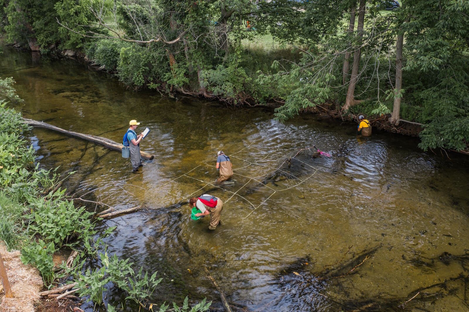 Researchers study the wildlife in Porage Creek as they work on the development of The Mill at Vicksburg