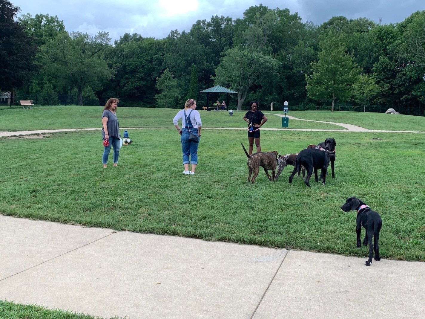 Dogs have room to run together or sprint off on their own at the Fairmount Dog Park.