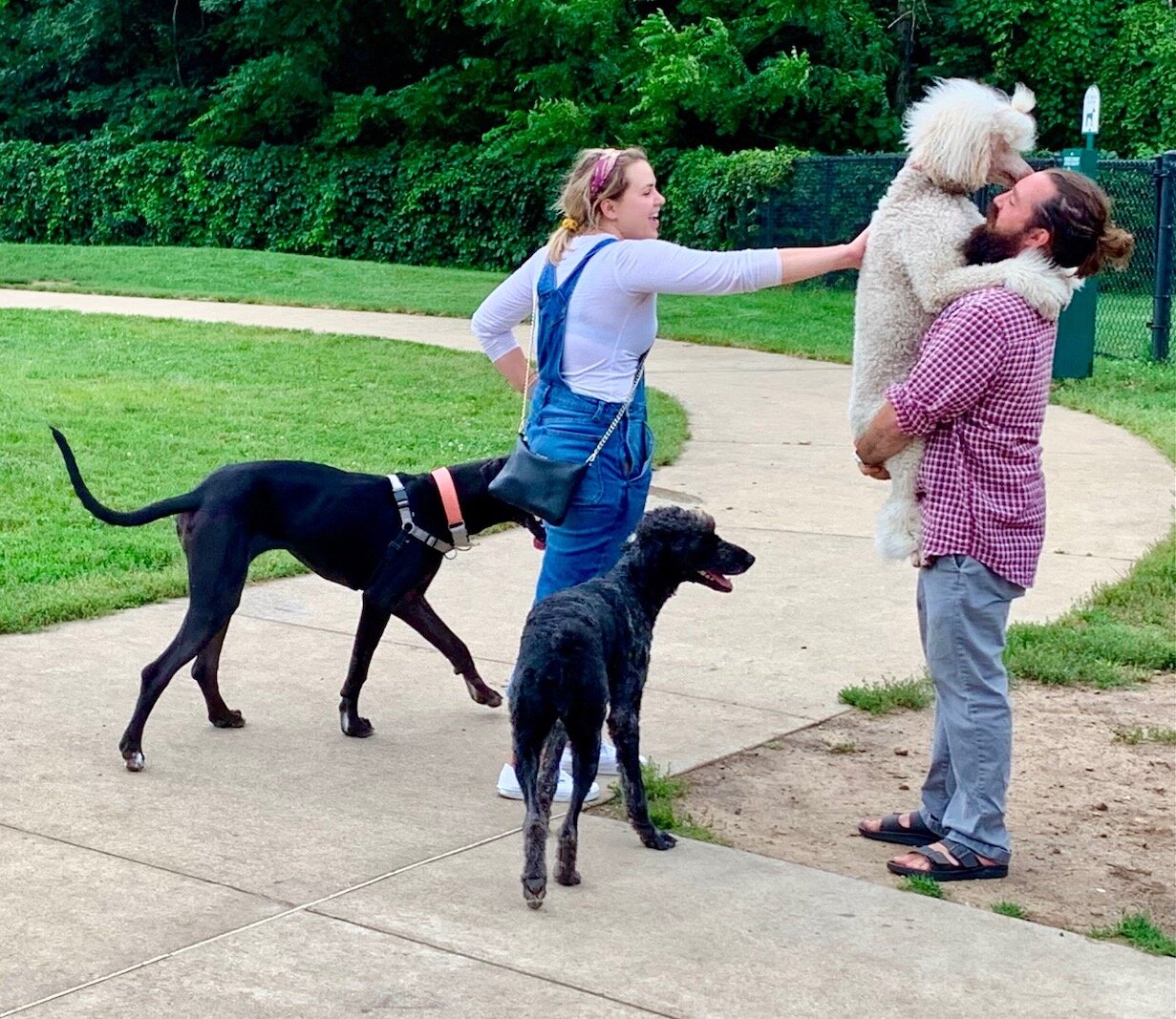 Ben Stanley has a moment with his poodle Maisey at Fairmount Dog Park on a recent Thursday.