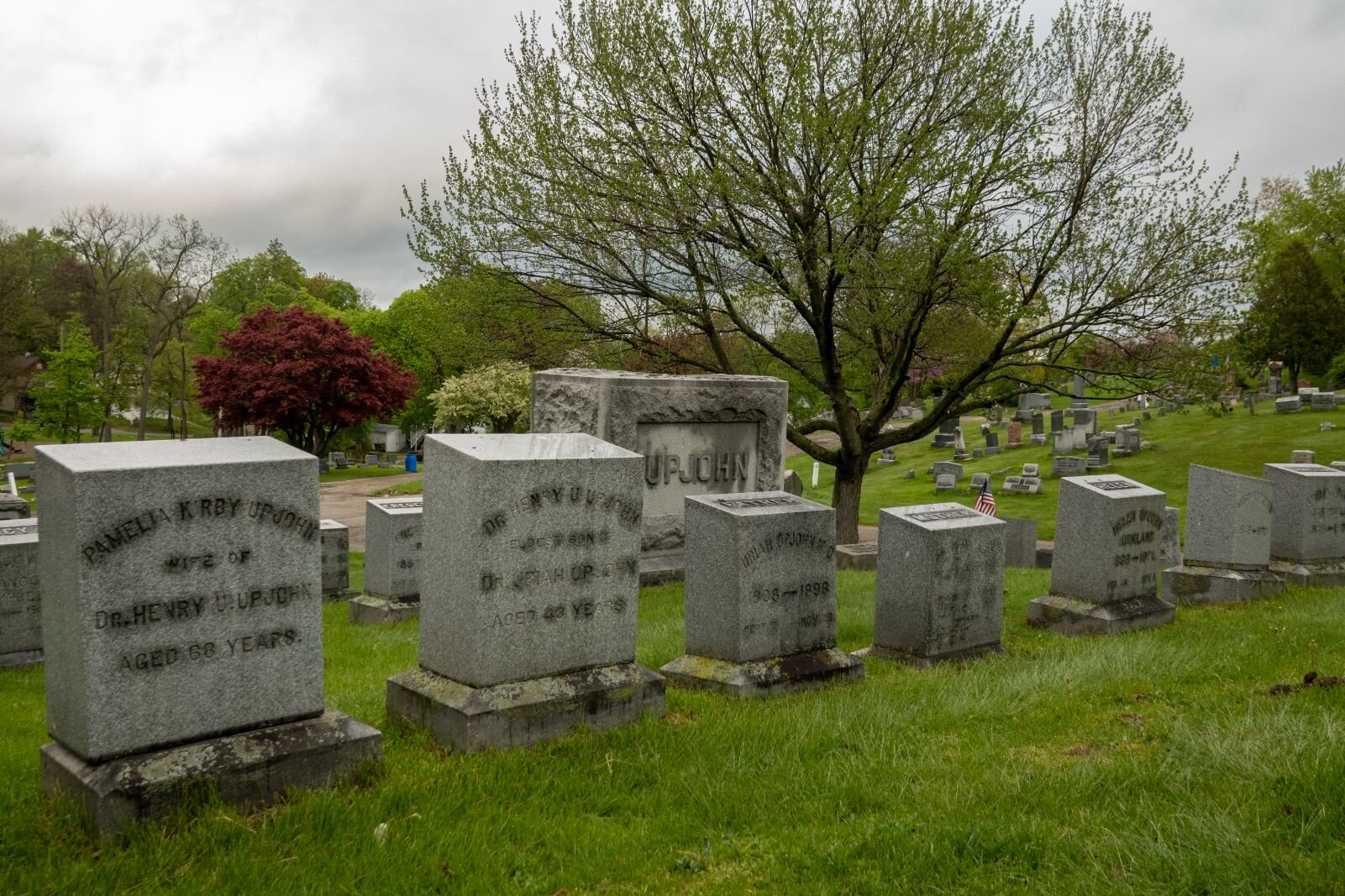 Family burial plots often included the headstones for members of related families adjacent to it. Shown here is one of two burial plots at Mountain Home Cemetery owned by the Upjohn family.