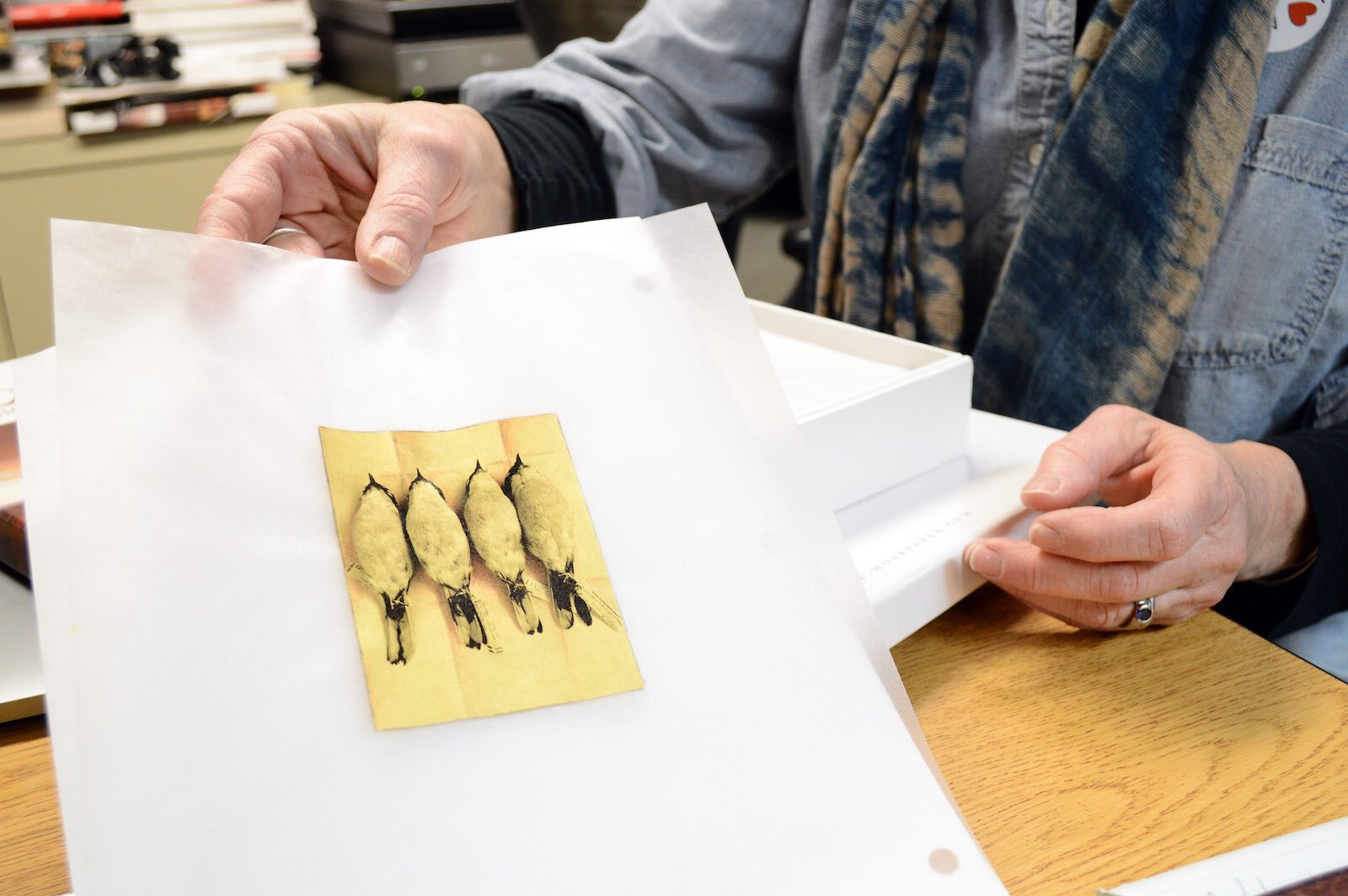 Hand-colored photo of bird specimens, on vellum, backed with gold, by Mary Whalen.