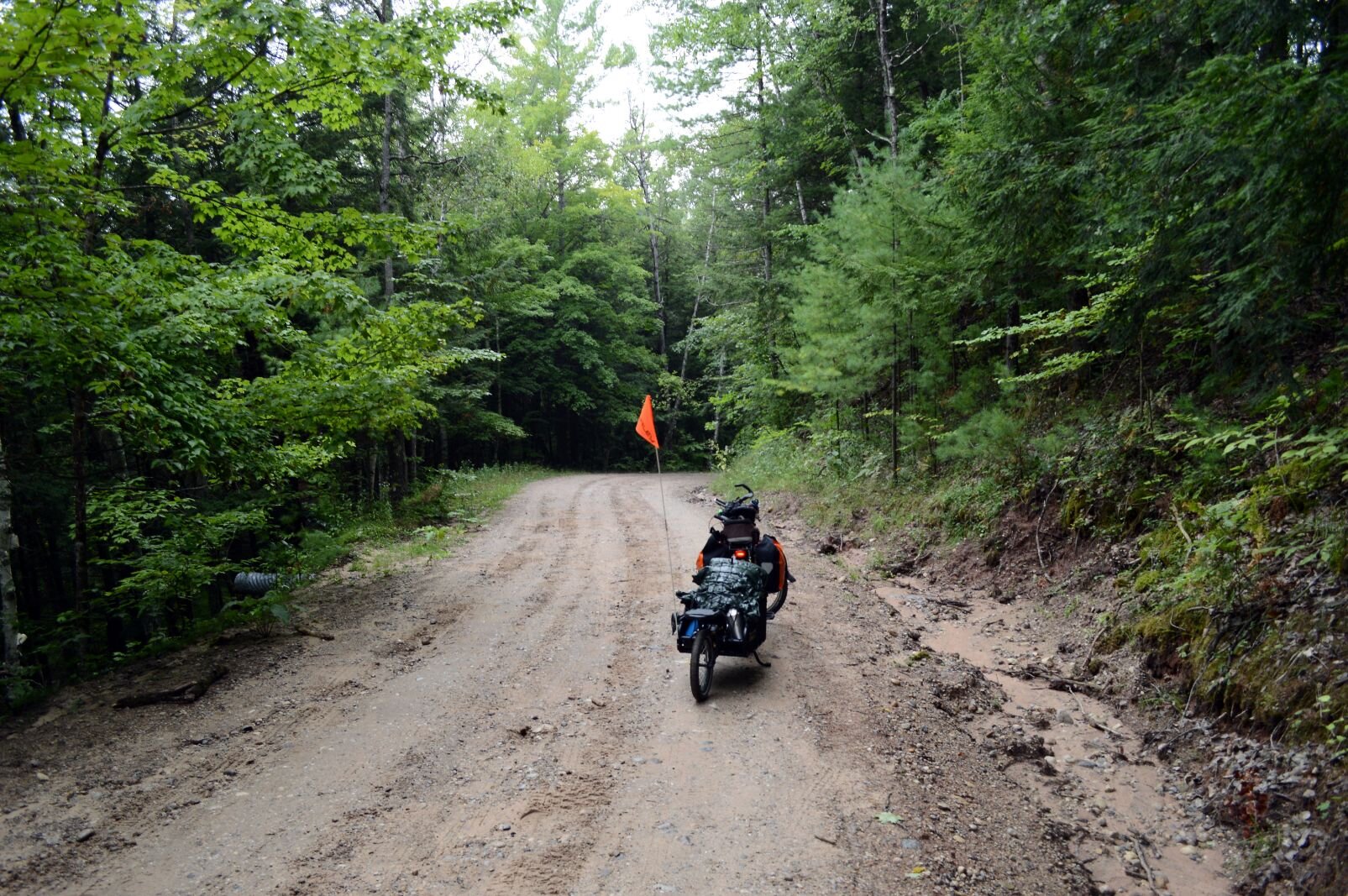 Climbing yet another dirt road hill. The Upper River Road, headed to Mesick via scenic route/