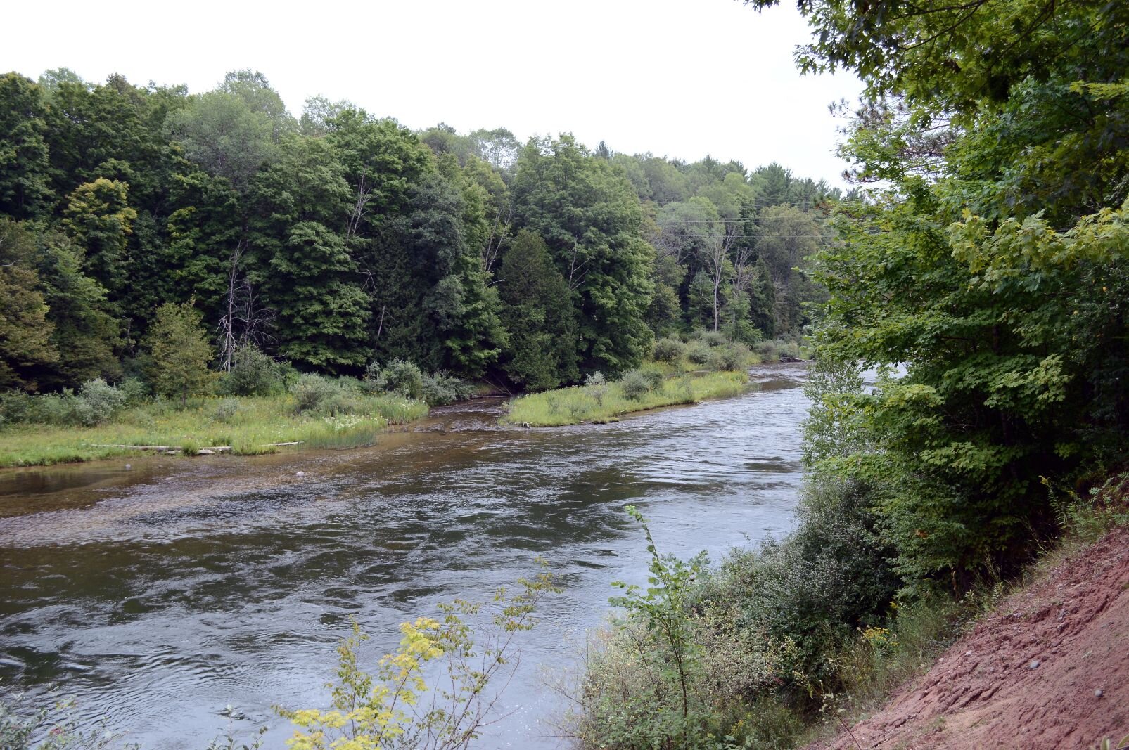 Overlooking the Manistee River, on the Upper River Road.
