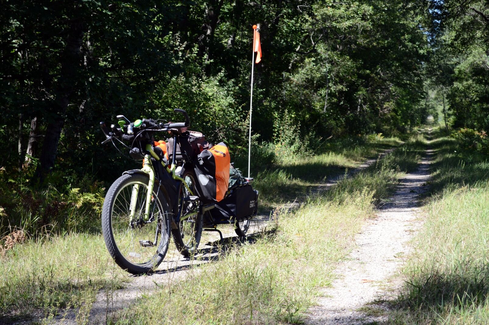 Unpaved segment of the White Pine Trail.