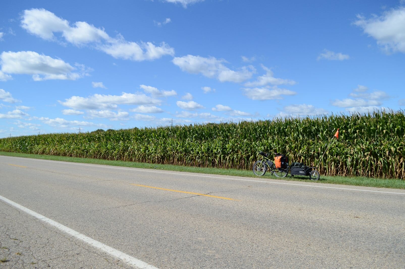 The familiar cornfields of Southwest Michigan.